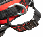 დაცვის ქამარი ზომა Harness PROFI EVO C with buckles - Image 4