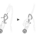 თოკზე დასაშვები ინსტრუმენტი PIRANA CLUB DESCENDER GREEN D005BA00